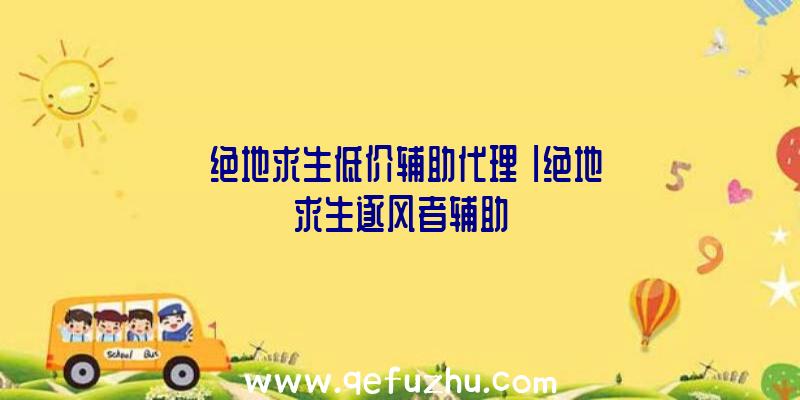 「绝地求生低价辅助代理」|绝地求生逐风者辅助